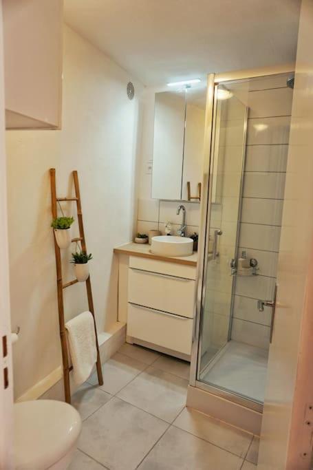 Emplacement N°1+terrasse Vue+cite+trivalle+clim Appartement *