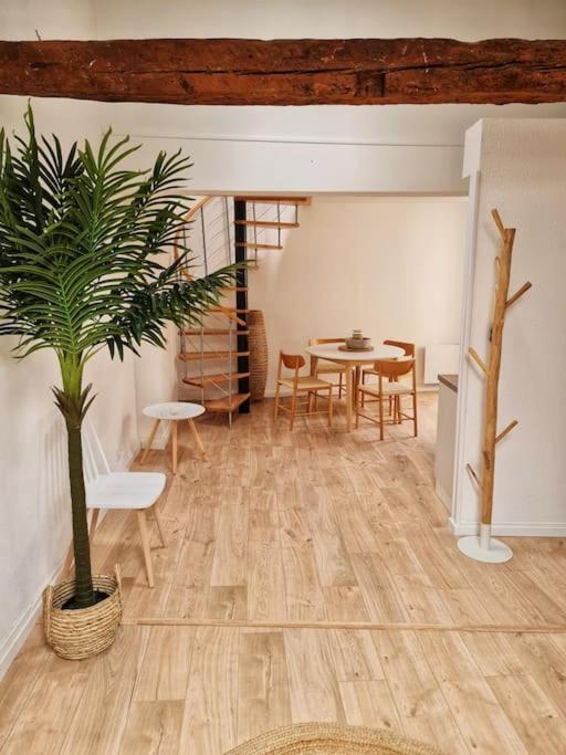 Emplacement N°1+terrasse Vue+cite+trivalle+clim * Carcassonne